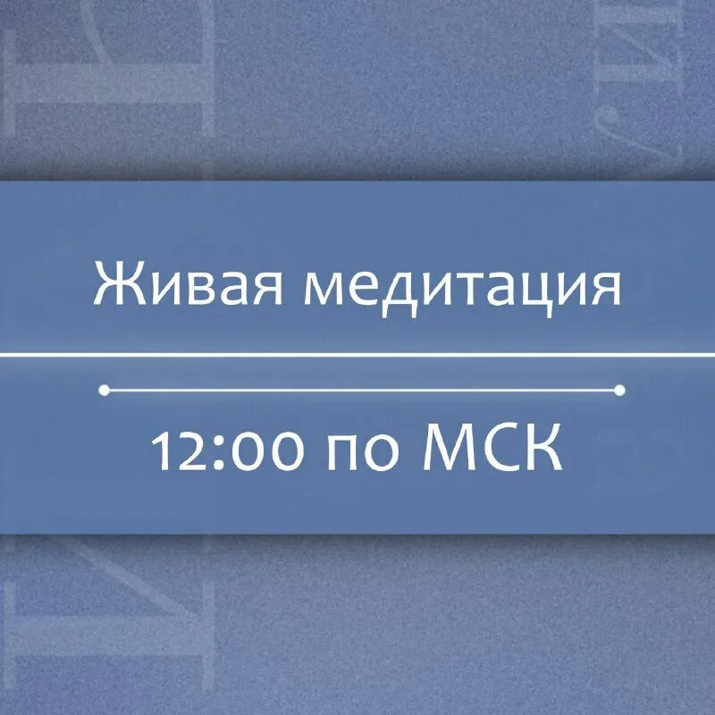 высказывания о смерти. радость жизни. мотивационные картинки с цитатами. хочу вживую. котофото.