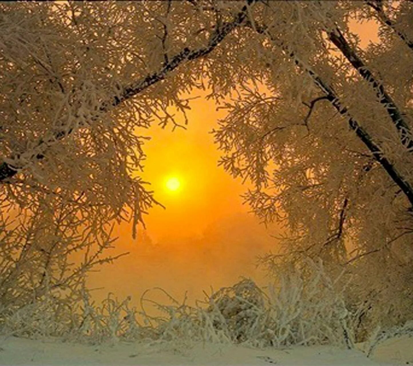 Яркое зимнее солнце заглянуло. Солнце зимой. Морозное солнечное утро. Солнце в морозный день. Солнечный зимний день.