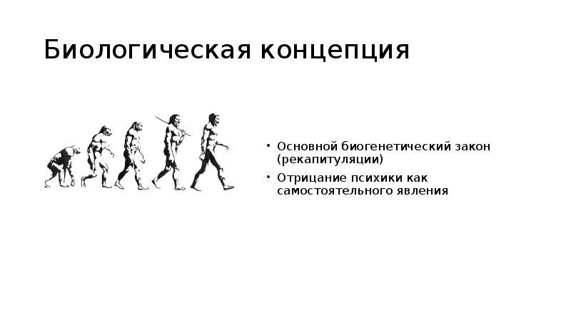 Симиальная теория антропогенеза. Гипотезы происхождения человека на земле. Биологическая концепция происхождения человека. Симиальная теория антропогенеза. Гипотезы происхождения человека 11 класс биология.