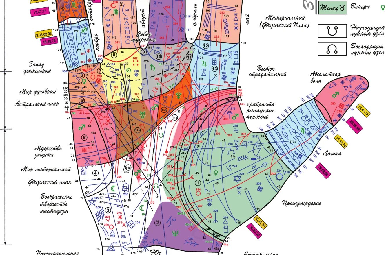 Хиромантия фото значений. Хиромантия атлас Финогеева. Карта руки Владимира Финогеева. Схема ладони в хиромантии. Холмы на ладони хиромантия.