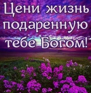 Давайте жизнь ценить