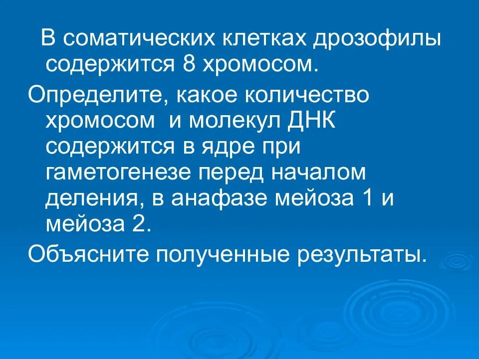 Определи число хромосом в клетках дрозофилы. В соматических клетках дрозофилы содержится 8. в соматических клетках дрозофилы содержится 8 хромосом определите. в соматических клетках дрозофилы содержится 8 хромосом какое число. соматическая клетка дрозофилы.