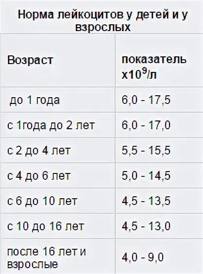 В возрасте 2 5: найдено 87 изображений