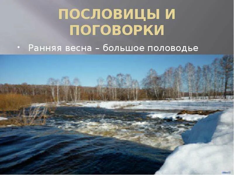 Весенние пословицы и поговорки. Пословицы и поговорки о половодье. поговорки о весне. поговорки о половодье.