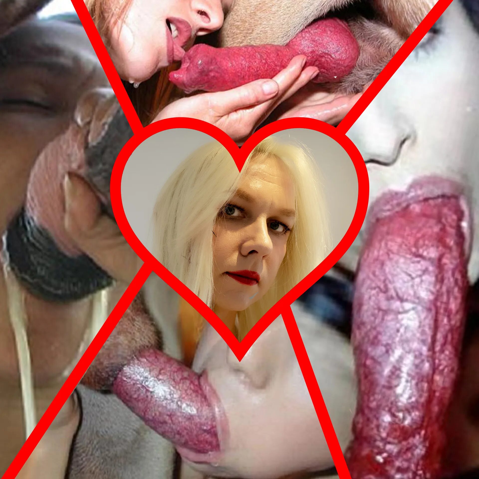 Sucking Dog Dig Порнофильм