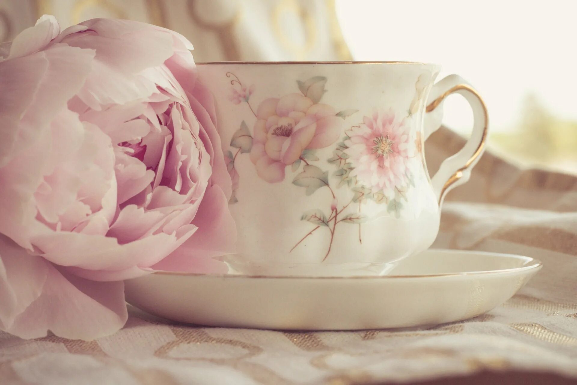Доброе утро нежные картинки. Нежный цветок. Утренние пионы. Нежные пионы. Пион нежно-розовый.