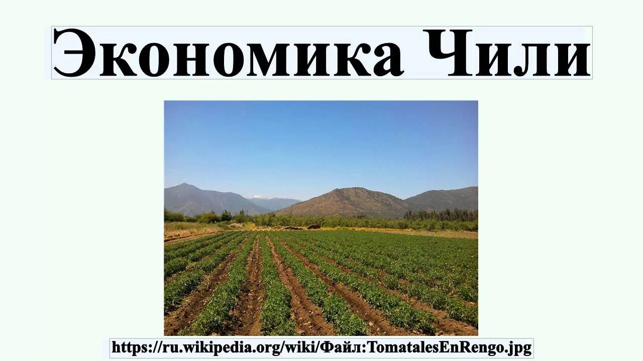 Специализация сельского хозяйства чили. Экономика чили. чили экономика страны. хозяйство страны чили. чили специализация.