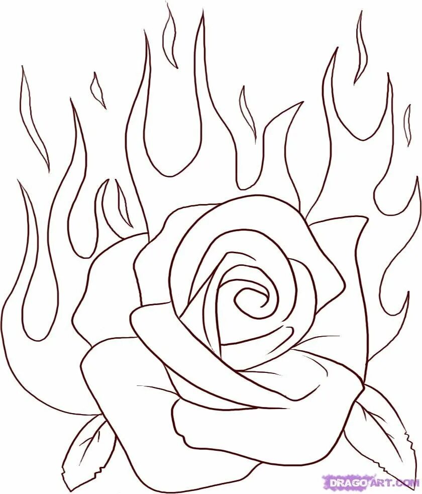 Рисунки для срисовки на лист а4. Рисунок розы для срисовки легкие.