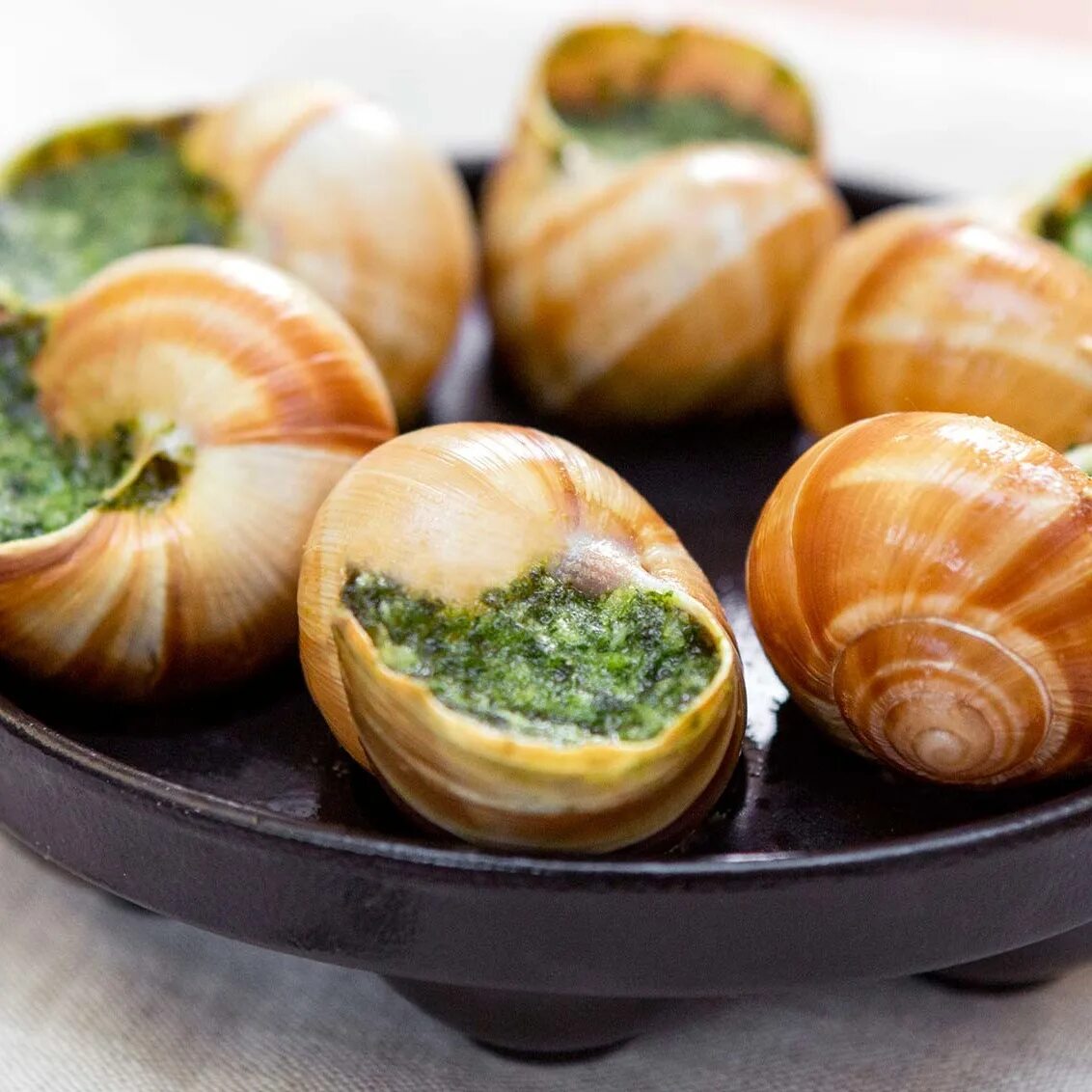 Эскарго де Бургонь. Улитки Эскарго. Бегония escargot. Эскарго кальмар. Омолаживающая улитка