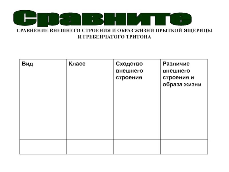 Таблица ящерица и тритон. Сходство внешнего строения прыткой ящерицы и гребенчатого Тритона. Сравнение внешнего строения прыткой ящерицы и гребенчатого Тритона. Сравните образ жизни прыткой ящерицы и гребенчатого Тритона. Сравнение внешнего строения и образа жизни прыткой.