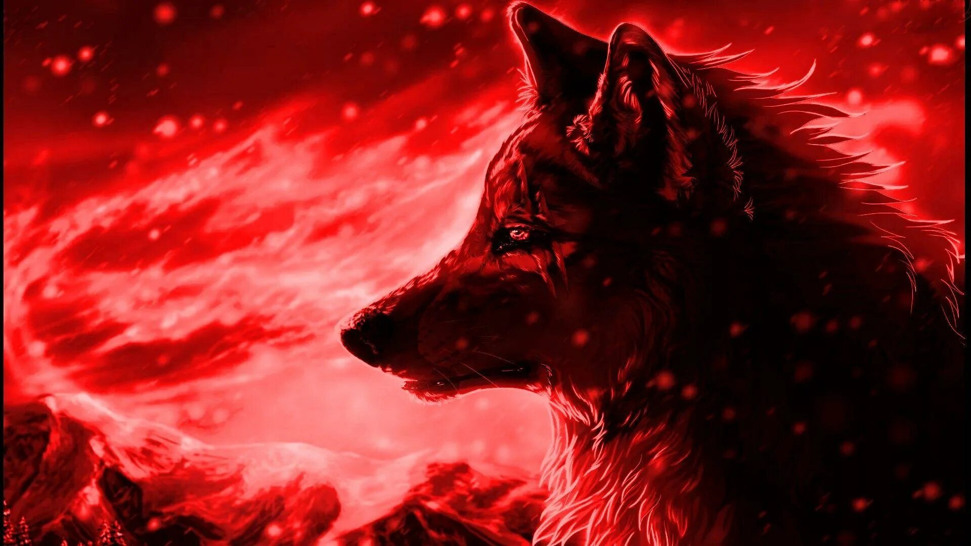 Ред вольф. Волк обои. Волк на красно-черном фоне рисунок. Кул Вулф.