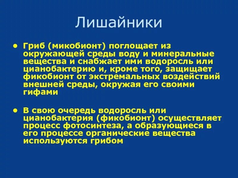 Микобионт это. Фикобионт и микобионт. микобионты лишайников. фикобионт и микобионт лишайника. водоросли поглощают воду и минеральные вещества.