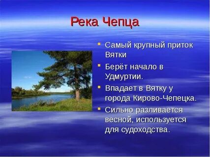 Сколько притоков у реки чепца
