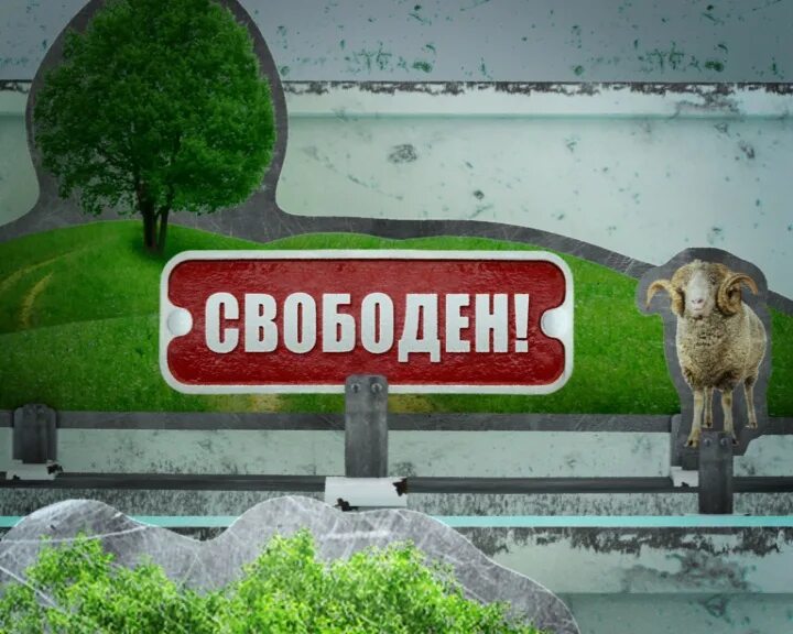 Надпись свободен. Свободен картинки. Снова свободна. Картинки на свободную тему. Бывший свободен 20