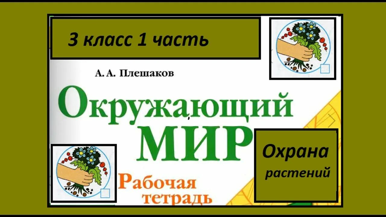 Охрана растений 3 класс тетрадь. Окружающий мир охрана растений рабочая тетрадь. охрана растений 3 класс. задание по окружающему миру охрана растений. окружающий мир 3 класс рабочая тетрадь охрана растений.