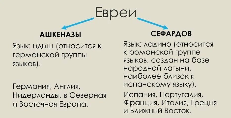 Хасиды ашкеназы сефарды. Ашкенази и сефарды внешние. Ашкеназы и сефарды внешние отличия. Классификация евреев.