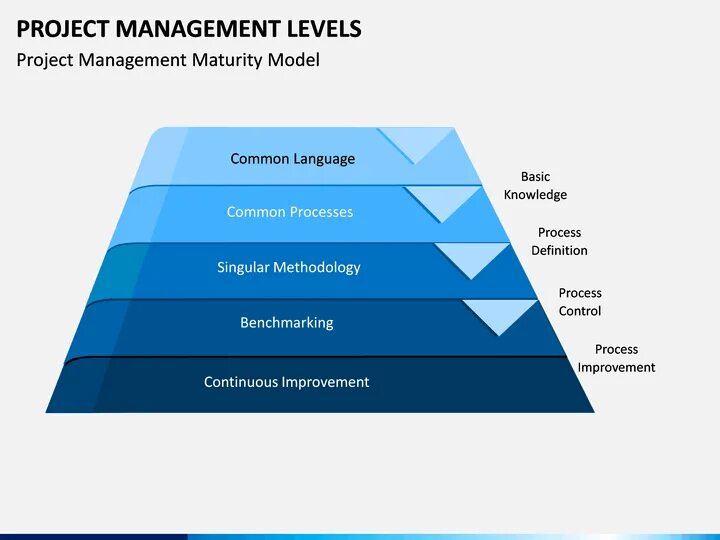 Уровни Project Manager. Уровни управления проектом. Уровни менеджеров проектов. Levels of Management.