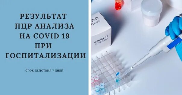 Сдать пцр в уфе. Пцр тест. пцр на ковид. забор крови на пцр. пцр тест на коронавирус для госпитализации.