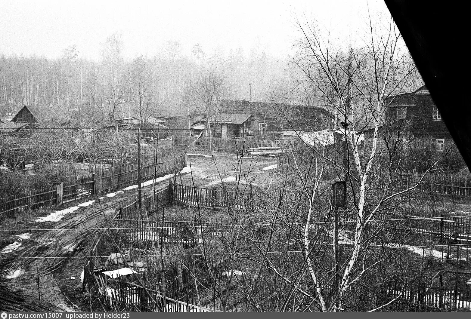 Старый просек. 6 лучевой просек. 5 й лучевой просек деревянный дом. старая просека. вид на просеку.