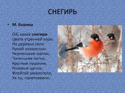 Скажи ка почему снегирей снегирями