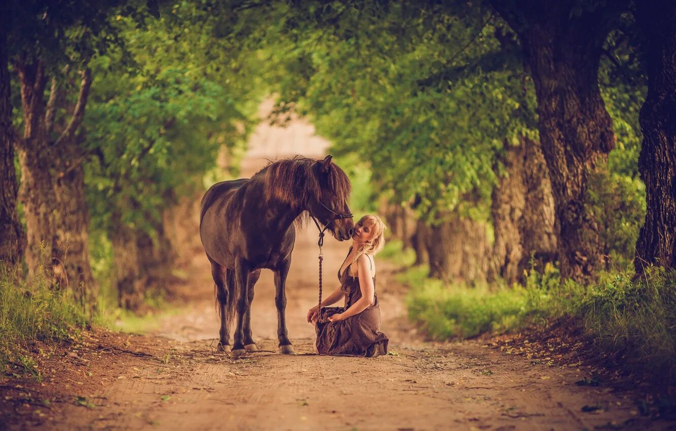 Девушка с лошадью. Девушка на лошади в лесу. Девушка с лошадью фотосессия. Девушка на лошади со спины.