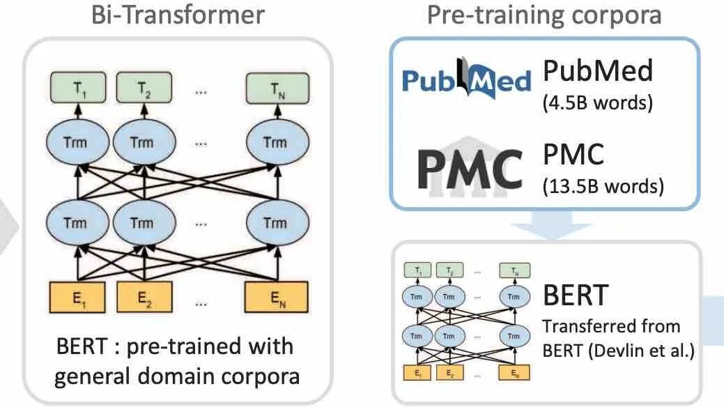 Pre trained transformer. Модель Bert. Bert архитектура сети. Bert схема. Bert (модель мови).