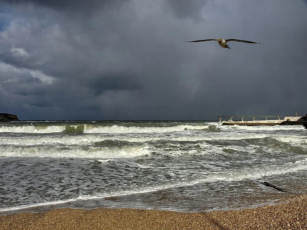 шторм на азовском море сейчас