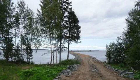 Зон петрозаводск