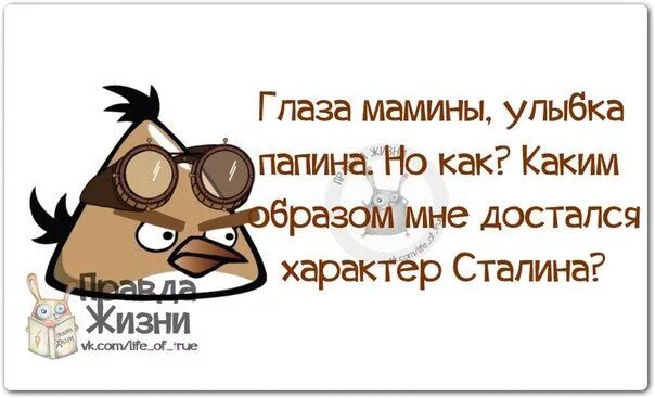 Мамин характер. Юмор про жизнь. Статусы про улыбку. Глаза мамины улыбка Папина характер Сталина. Философия жизни юмор.