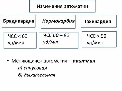 Редкий пульс причины что делать