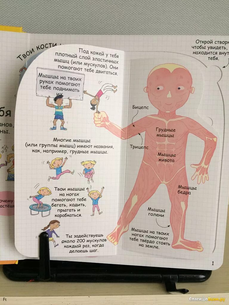 Красивый внутренний мир. Двуличный человек. Человек в оковах. Инопланетяне плеядеанцы сириус. Бессмертная душа.