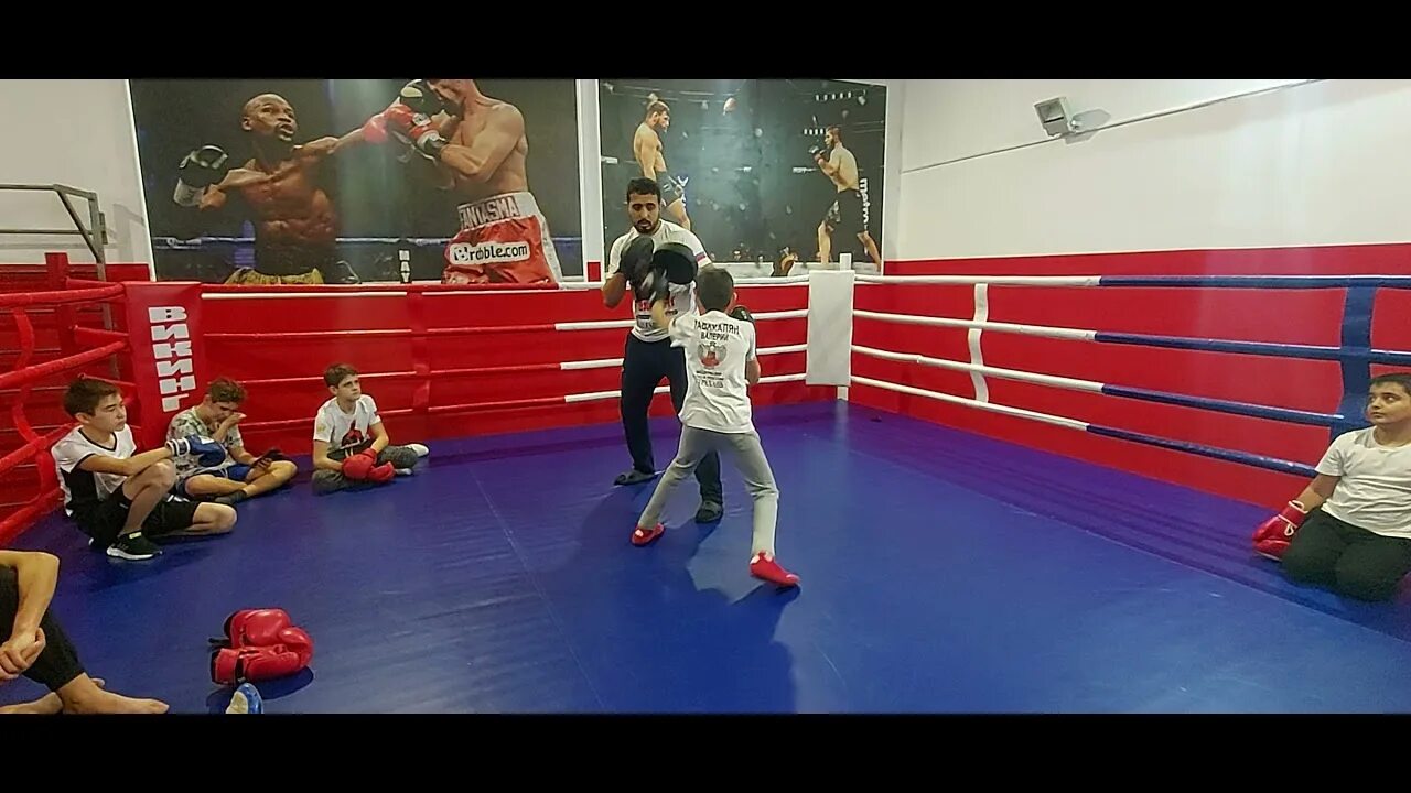 Академия кикбоксинга астрахань. Школа боевых искусств лун. Проект гандбол в школу астрахань. Секции в астрахани. Секции в астрахани.