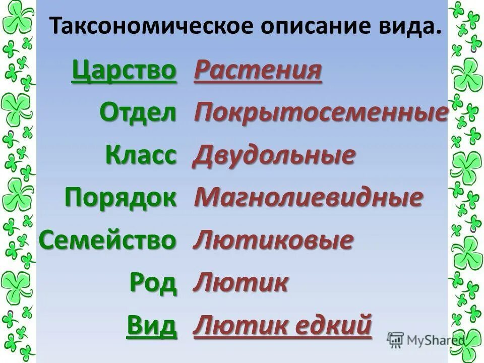 таксоны царства растений. систематика царства растений таблица. царство отдел класс порядок семейство. соя царство отдел класс род вид. царство тип класс отряд семейство род вид.
