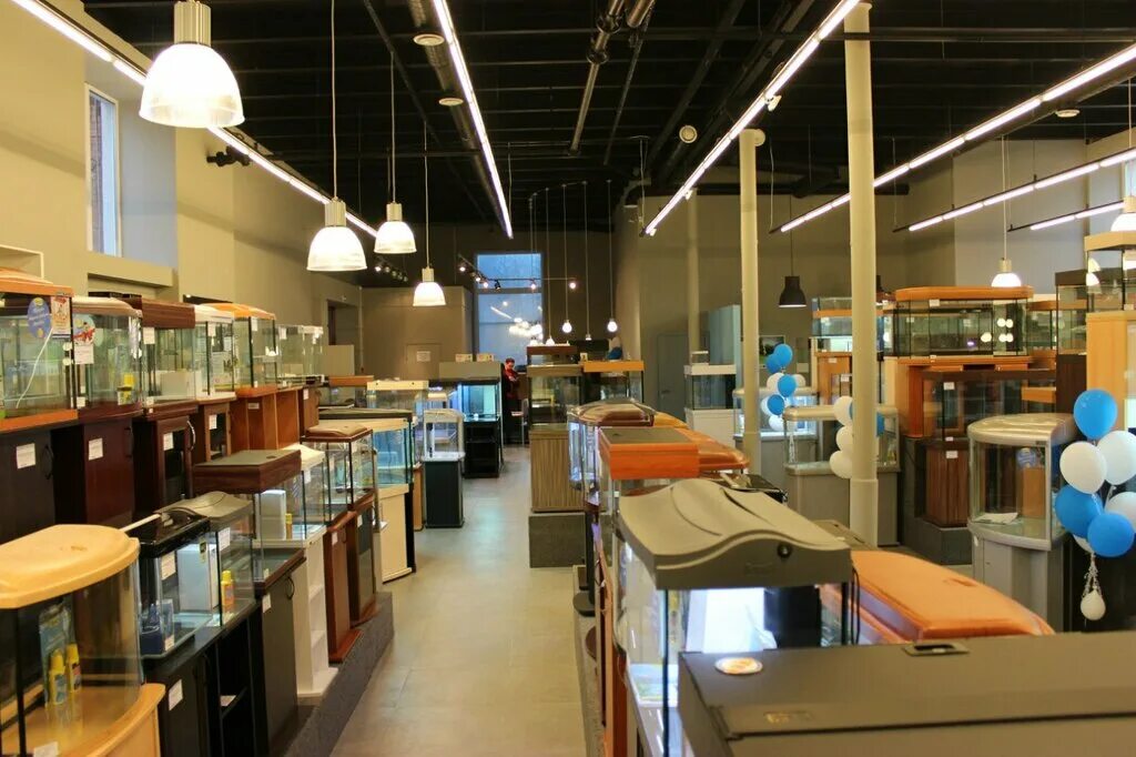 аквариумный гипермаркет акваинтерио. акваинтерио санкт петербург коломяжский. акваинтерио санкт петербург коломяжский. просп. акваинтерио санкт петербург коломяжский.