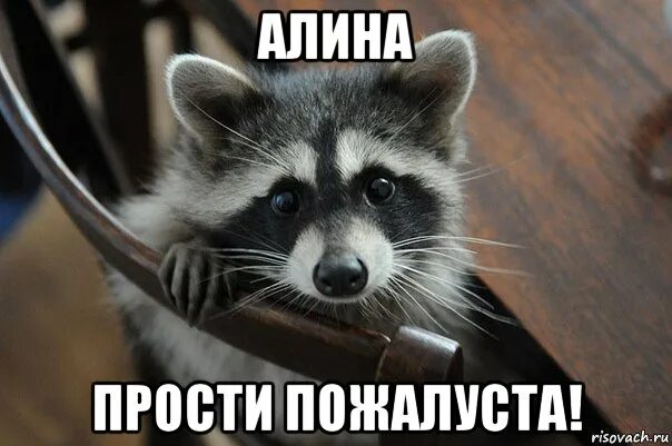 Извинить максимальный. Прощу прощения что потратил ваше время. Смс прости меня. Извинить максимальный. Картинки с извинениями.