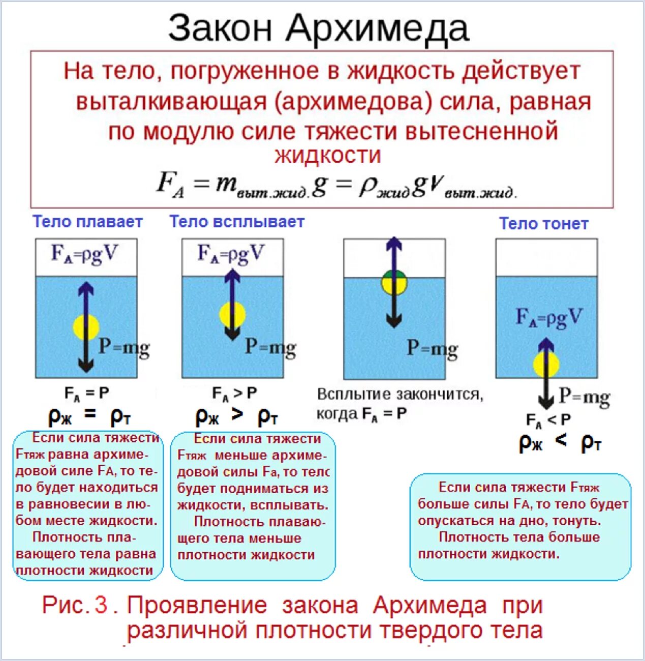 Как изменится сила действующая. Давление и сила Архимеда 7 класс. Давление жидкости закон Архимеда. Сила Архимеда и давление жидкости. Давление сила Архимеда физика 7 класс.