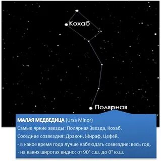 В какое время года наблюдать созвездие