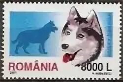 Молдавский лей валюта. Валюта в руках. 200 лей. 8000 лей. 50 лей.