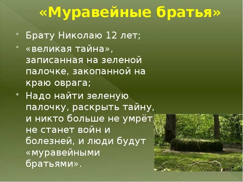 Толстой лев николаевич муравейные братья. Муравейное братство льва николаевича толстого. Легенда о зелёной палочке льва толстого. Лев толстой презентация. Муравейные братья лев толстой.