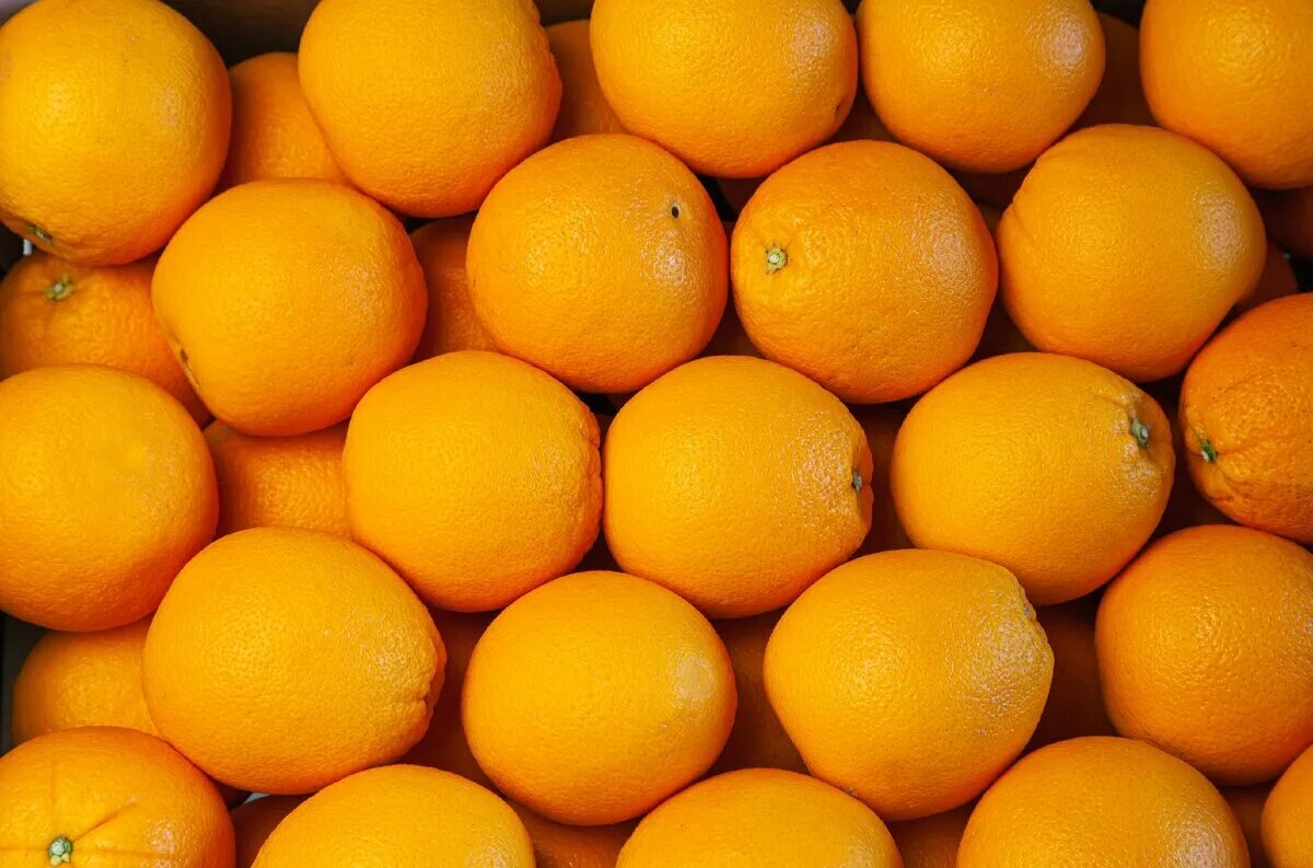 Ящик апельсинов. Ящик с апельсинами. Ящик с мандаринами. Коробка апельсинов. Апельсин питдор.