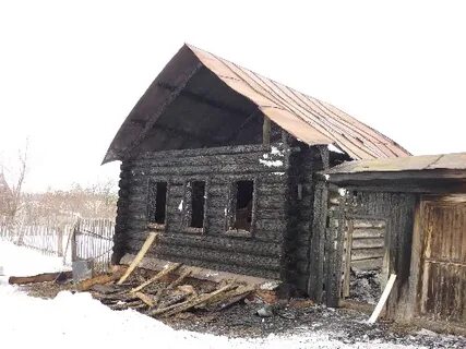 Погода тимой мамыши