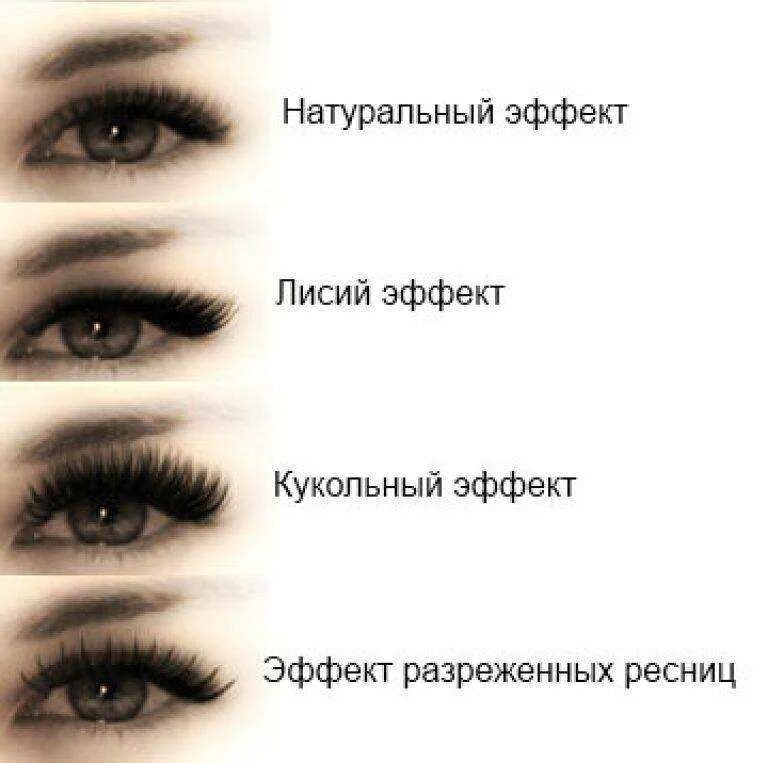 Наращивание ресниц формы и изгибы. Наращивание ресниц беличий эффект 2д схема. лисий кукольный беличий эффект. беличий эффект наращивание ресниц 2d схема. кукольный , лисий, беличий эффект разница.
