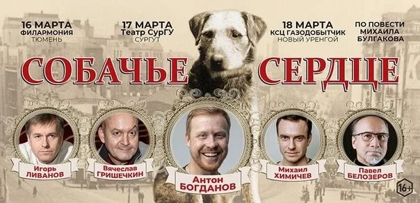 Собачье сердце спектакль. Спектакль собачье сердце гришечкин. Собачье сердце в театрах москвы. Спектакль собачье сердце афиша. Собачье сердце в театрах москвы.