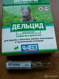 Дельцид в ампулах отзывы
