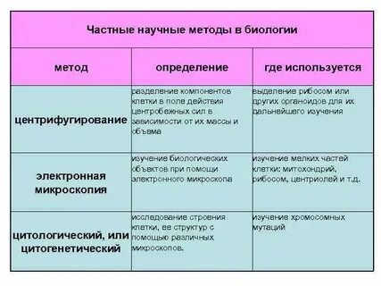 Методы биологических исследований разделение клеточных