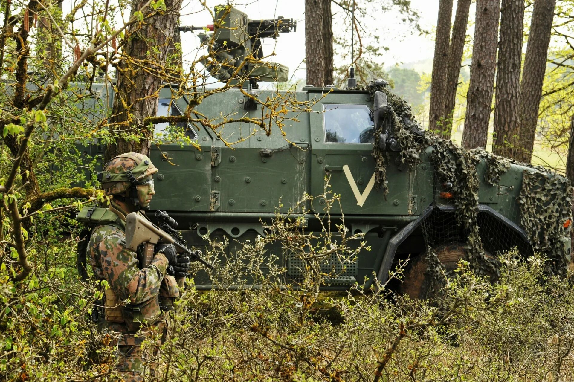 Тег армии. Армия Люксембурга. Вооружение Люксембурга. Армия Люксембурга вооружение. Солдат Люксембурга.