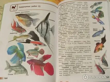 Атлас определитель плешаков 4 класс окружающий мир