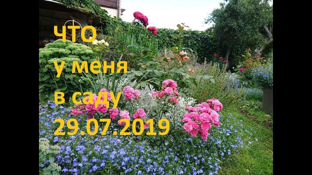 Мой сад мой мир. Садовые цветы в июне. Гобеленовое панно райский сад. Мой сад мой мир. Книга сад моей мечты.