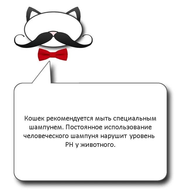 Кот пахнет что делать. Симптомы кошачьего отравления. советы от котика. почему у кота воняет изо рта. запах изо рта у кота причины.