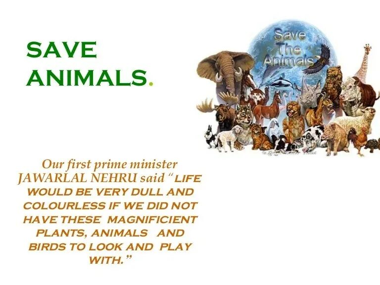 Save animals. Saving animals for kids. our animals. текст animals in our.